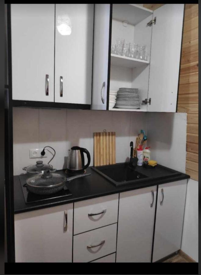 Mountain Dream House Διαμέρισμα Gudauri Εξωτερικό φωτογραφία
